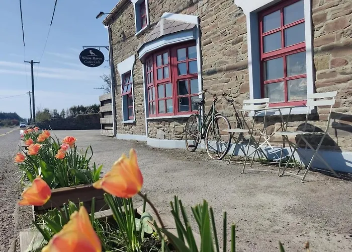 Rustic Pub - 20 Minutes From Killarney! Ferienhaus Rathmore (Kerry)